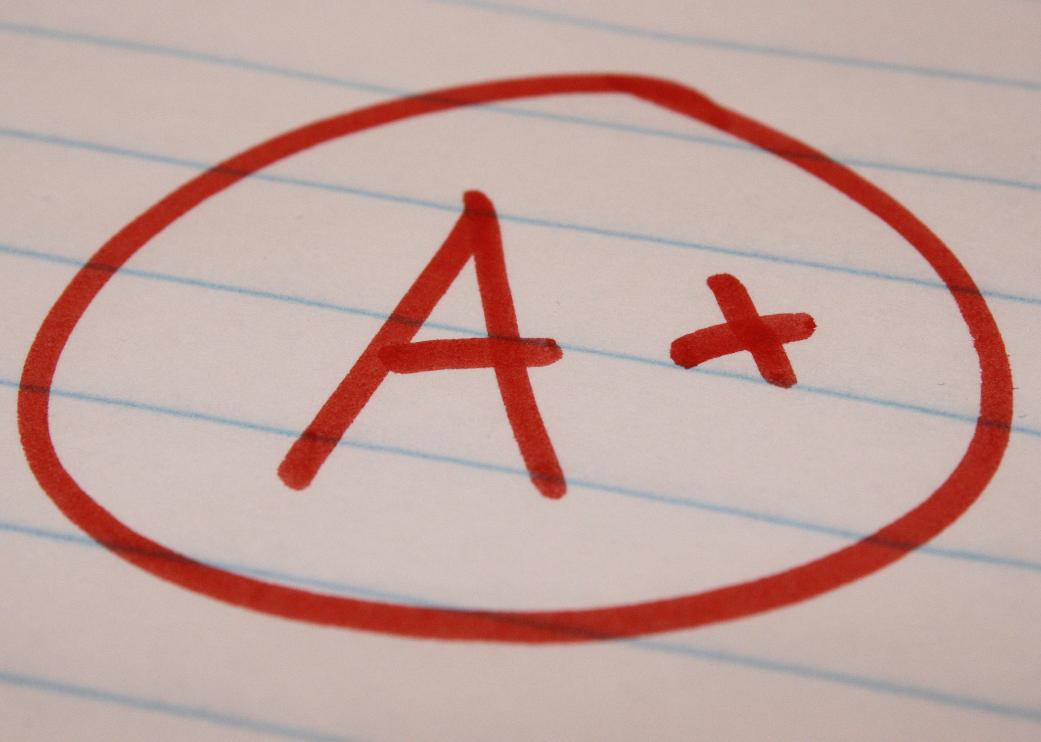 The ABC Of How To Write An A+ Critical Essay